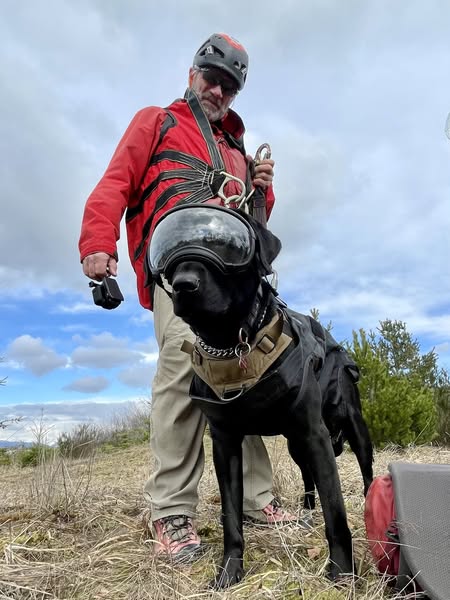 gps-dog-coquitlam-search-rescue